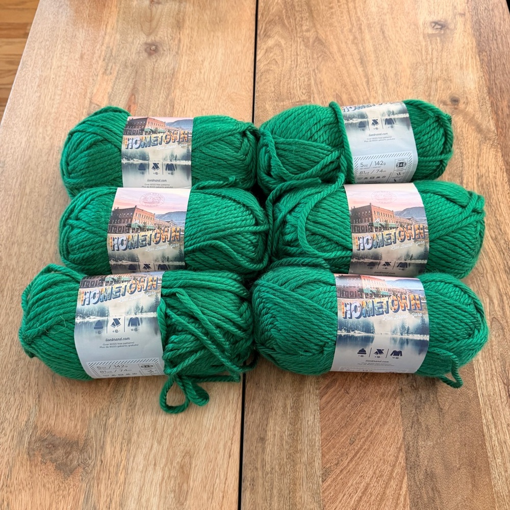 Lion Brand Hometown Green Bay Yarn Bundle